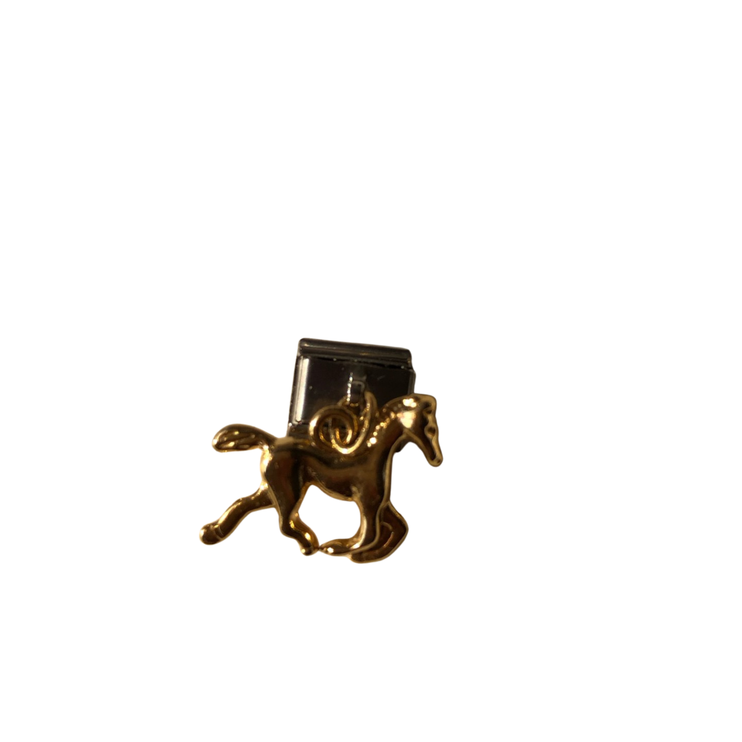 Charm caballo