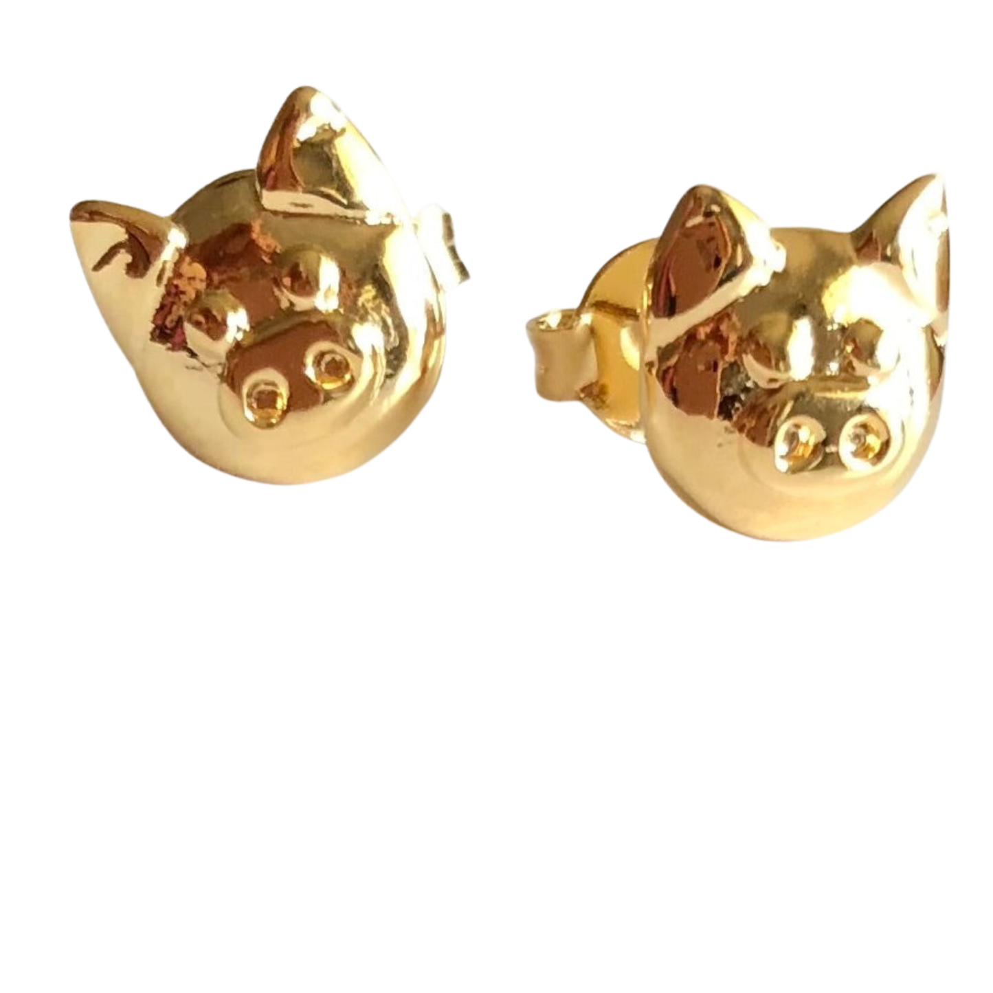 Aretes puerquito