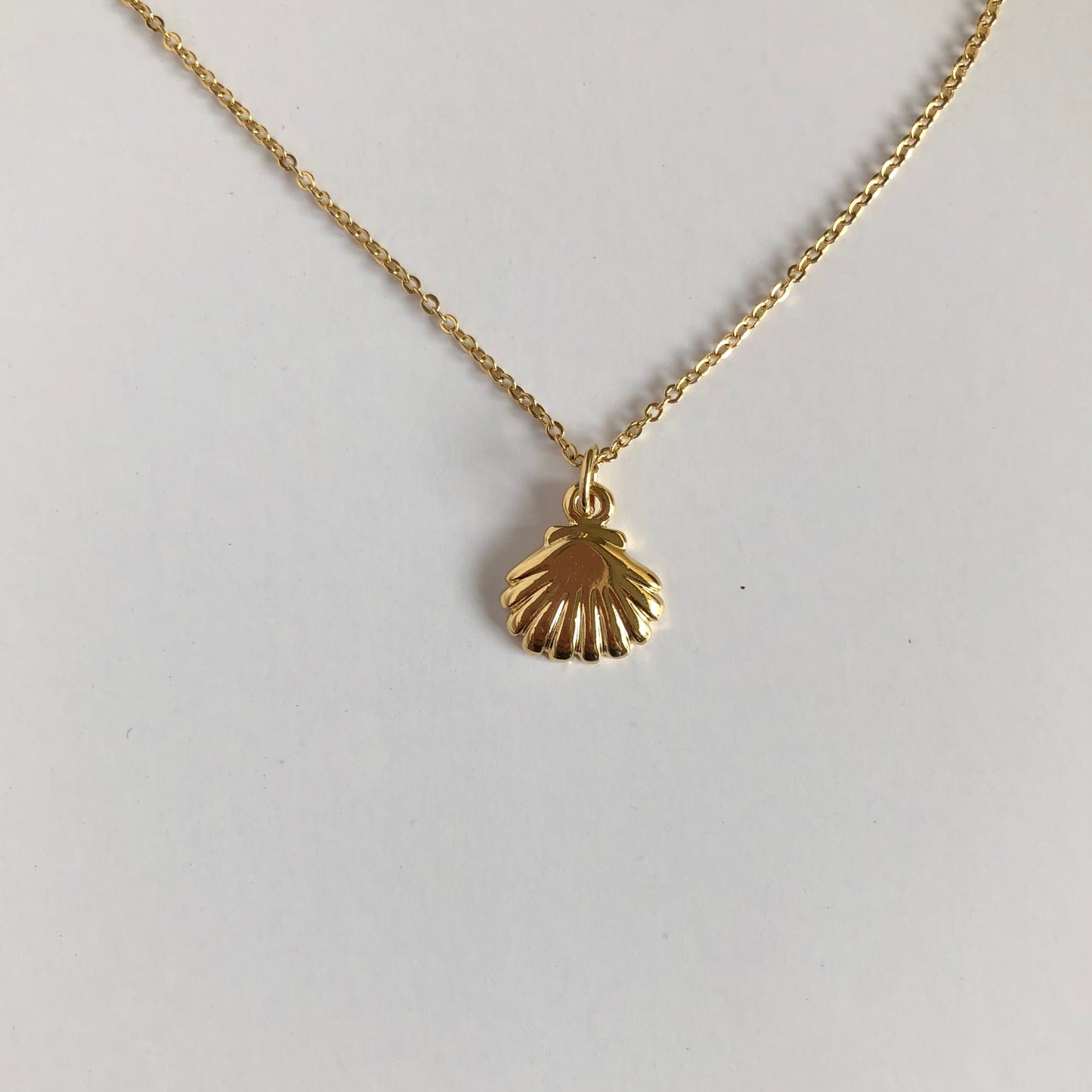 Collar concha de mar