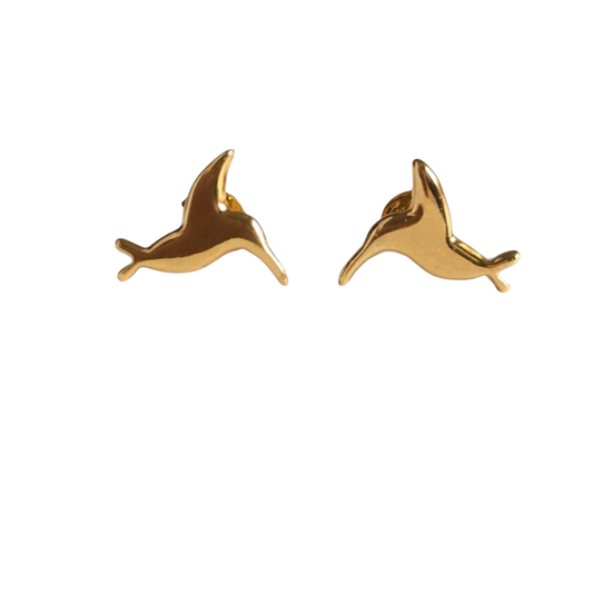 Aretes colibri
