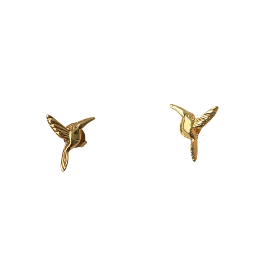 Aretes colibrí (broquel)