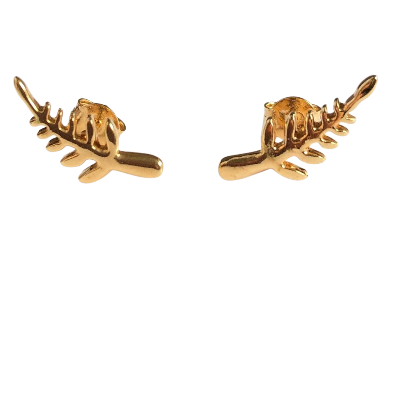 Aretes laurel