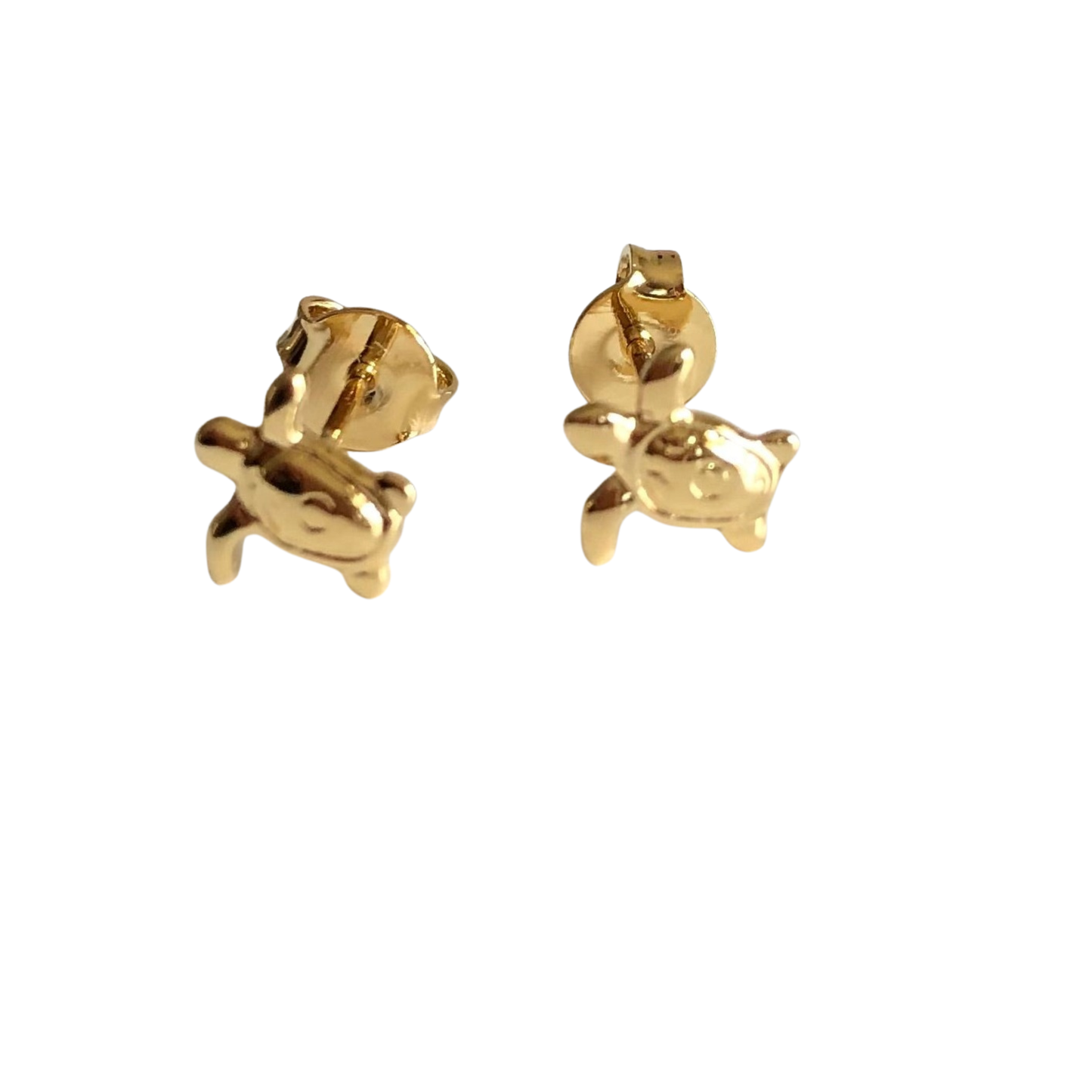 Aretes tortuga