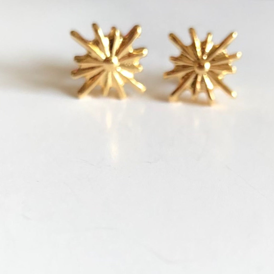 Aretes estrella del norte