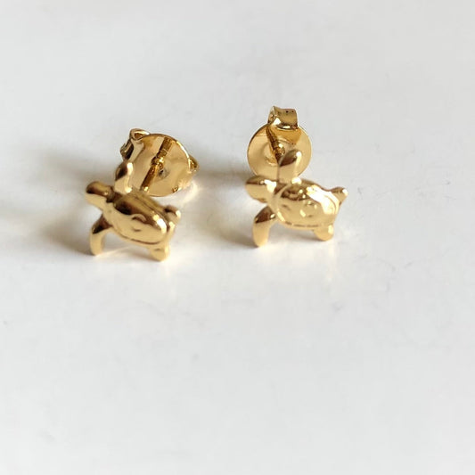 Aretes tortuga