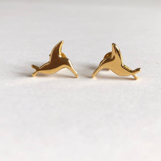 Aretes colibri
