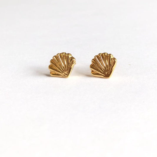Aretes concha de mar